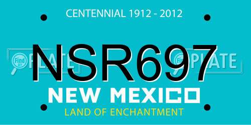 NSR697 New Mexico License Plate