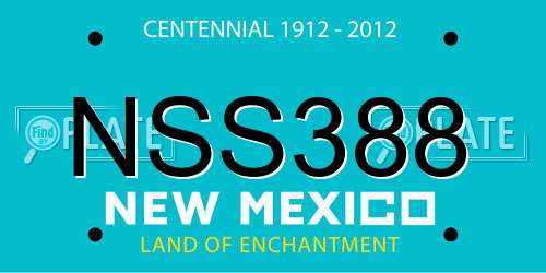 NSS388 New Mexico License Plate