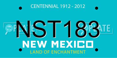 NST183 New Mexico License Plate