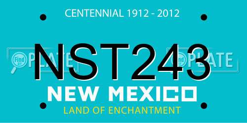 NST243 New Mexico License Plate