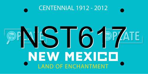 NST617 New Mexico License Plate