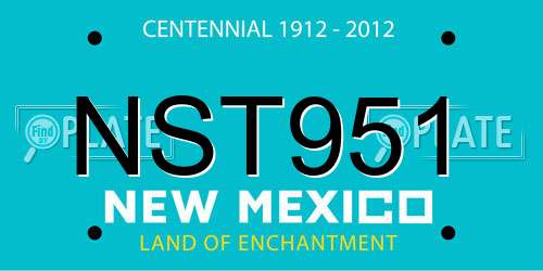 NST951 New Mexico License Plate