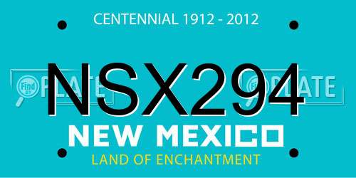 NSX294 New Mexico License Plate