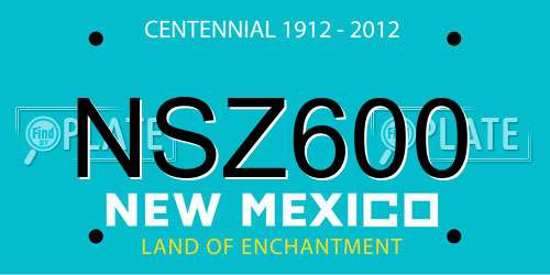 NSZ600 New Mexico License Plate