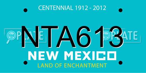 NTA613 New Mexico License Plate