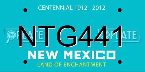 NTG441 New Mexico License Plate