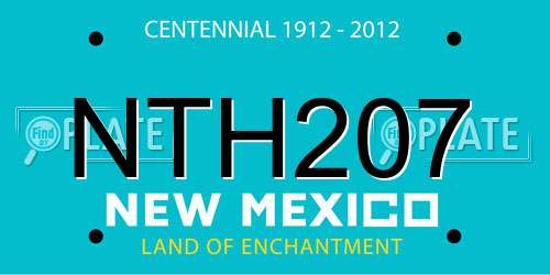 NTH207 New Mexico License Plate