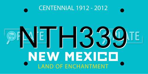 NTH339 New Mexico License Plate
