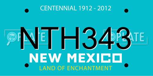 NTH343 New Mexico License Plate