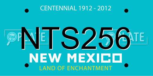 NTS256 New Mexico License Plate