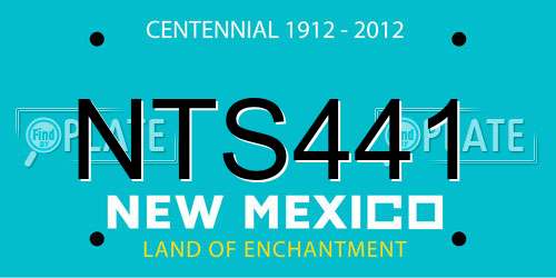 NTS441 New Mexico License Plate
