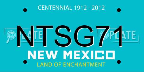 NTSG71 New Mexico License Plate