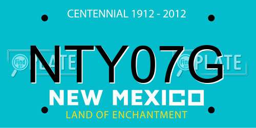 NTY07G New Mexico License Plate