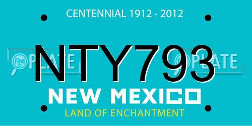 NTY793 New Mexico License Plate