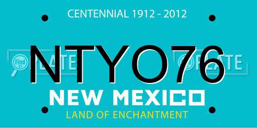 NTYO76 New Mexico License Plate