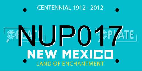 NUP017 New Mexico License Plate