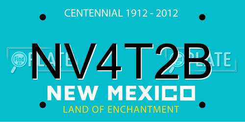 NV4T2B New Mexico License Plate