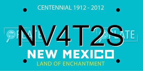 NV4T2S New Mexico License Plate