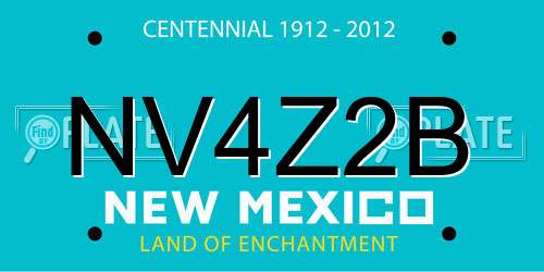 NV4Z2B New Mexico License Plate