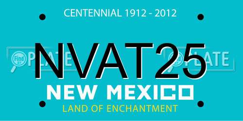 NVAT25 New Mexico License Plate