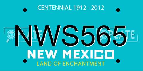 NWS565 New Mexico License Plate