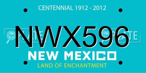 NWX596 New Mexico License Plate