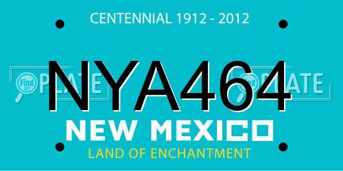 NYA464 New Mexico License Plate
