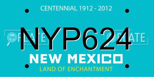 NYP624 New Mexico License Plate