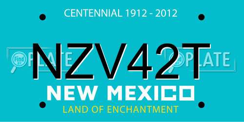 NZV42T New Mexico License Plate
