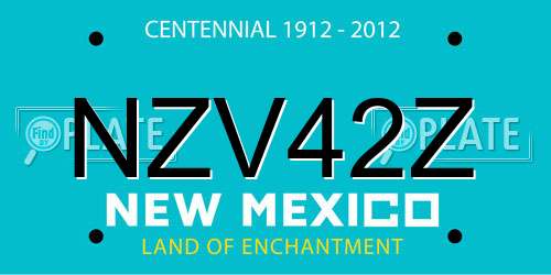 NZV42Z New Mexico License Plate