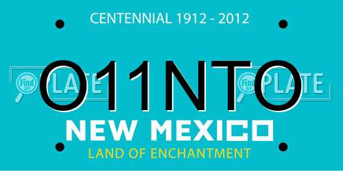 O11NTO New Mexico License Plate