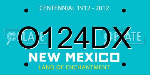 O124DX New Mexico License Plate