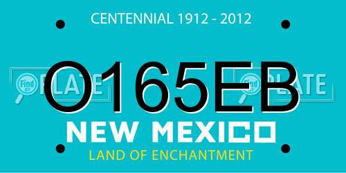 O165EB New Mexico License Plate