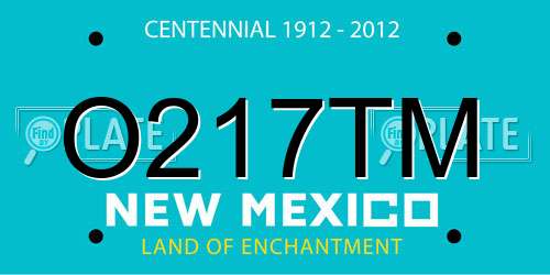 O217TM New Mexico License Plate