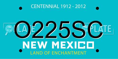 O225SC New Mexico License Plate