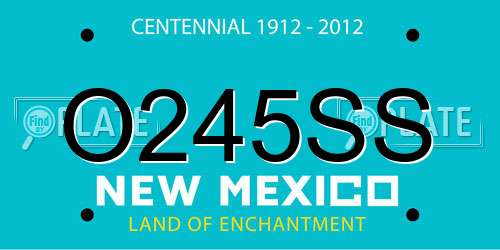 O245SS New Mexico License Plate