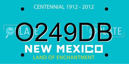 O249DB New Mexico License Plate