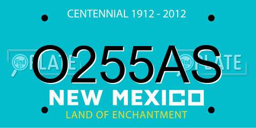 O255AS New Mexico License Plate