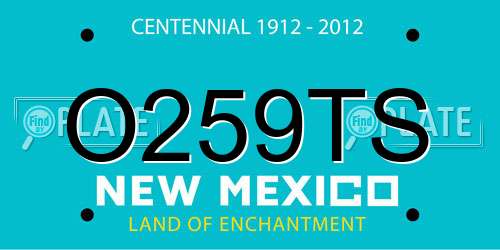 O259TS New Mexico License Plate
