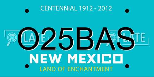 O25BAS New Mexico License Plate