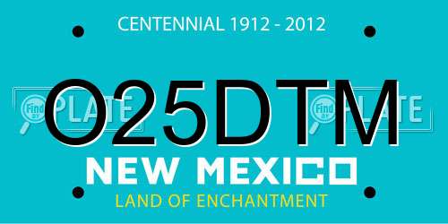 O25DTM New Mexico License Plate
