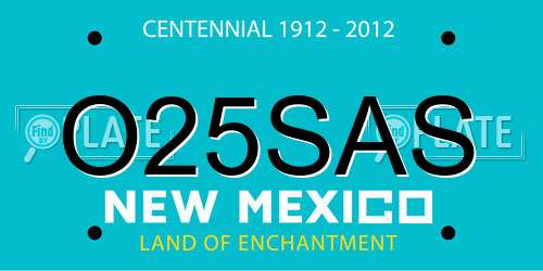 O25SAS New Mexico License Plate