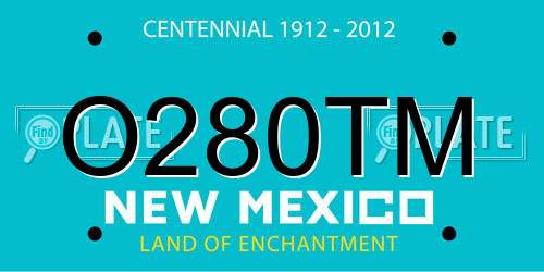 O280TM New Mexico License Plate