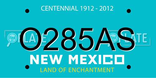 O285AS New Mexico License Plate
