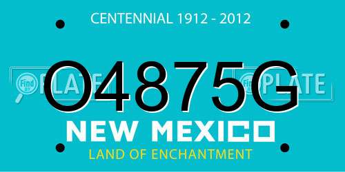 O4875G New Mexico License Plate