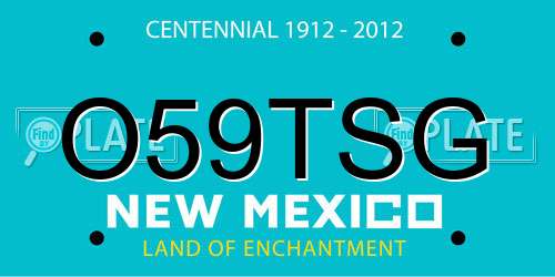 O59TSG New Mexico License Plate