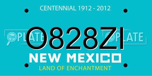 O828ZI New Mexico License Plate