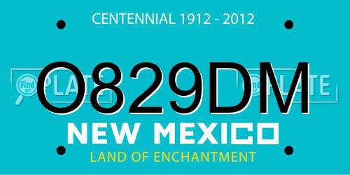O829DM New Mexico License Plate