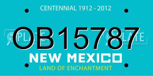 OB15787 New Mexico License Plate