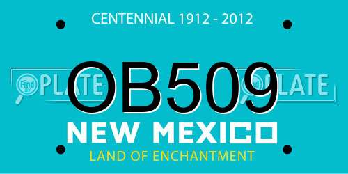 OB509 New Mexico License Plate